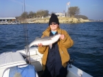 Lake Texoma Striper Fishing