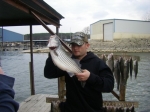 Matt and Ryan caught these Lake Texoma Stripers with Stripers Inc and guide Brian Prichard