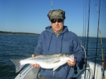 These stripers were caught with Lake Texoma fishing guide Brian Prichard