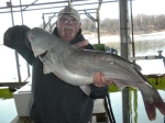 Fish caught on Lake Texoma with fishing guide Brian Prichard.