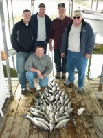 Stripers caught on Lake Texoma with striper guide Brian Prichard
