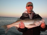 Stripers caught on Lake Texoma with striper guide Brian Prichard