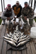 Stripers caught on Lake Texoma with striper guide Brian Prichard