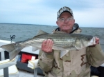 Stripers caught on Lake Texoma with striper guide Brian Prichard