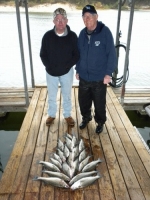Stripers caught on Lake Texoma with striper guide Brian Prichard