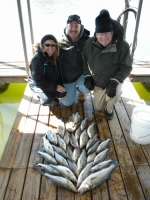 Stripers caught on Lake Texoma with striper guide Brian Prichard