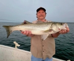 Fresh striper catch with Stripers Inc. on Lake Texoma.