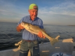 Client holding a Lake Texoma striped bass with Stripers Inc.