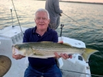Boat catch photo from Stripers Inc. guided striper fishing on Lake Texoma.