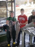 Winter fishing for Lake Texoma Blue Cats at its best
