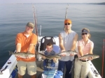 early fall striper fishing is fast and furious