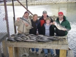Lake Texoma stripers caught with Stripers Inc. guide Brian Prichard
