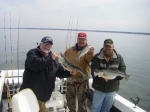 Lake Texoma Stripers caught with Stripers Inc guide Brian Prichard