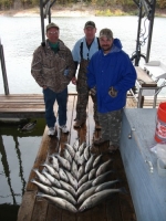 Stripers caught on Texoma with guide Brian Prichard