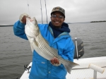 Stripers caught on Lake Texoma with guide Brian Prichard
