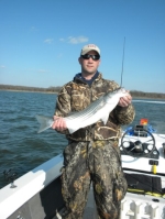 Stripers Caught on Lake Texoma with Stripers Inc Guide Brian Prichard