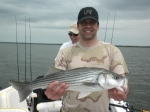 Stripers caught on Lake Texoma with fishing guide Brian Prichard