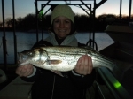 Stripers caught on Lake Texoma with striper fishing guide Brian Prichard