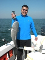 Fish caught on Lake Texoma with fishing guide Brian Prichard.